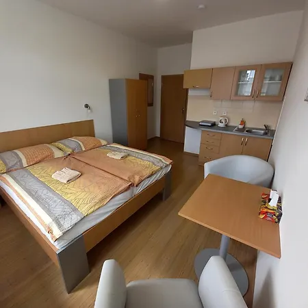 Hotel Decin Hostel *