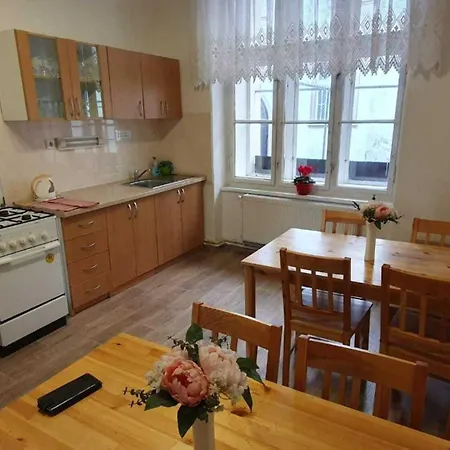 Hotel & Hostel Decin מלון *