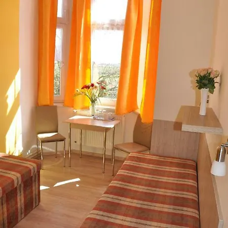 Hotel & Hostel Decin Отель *